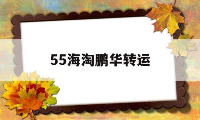 55海淘鹏华转运